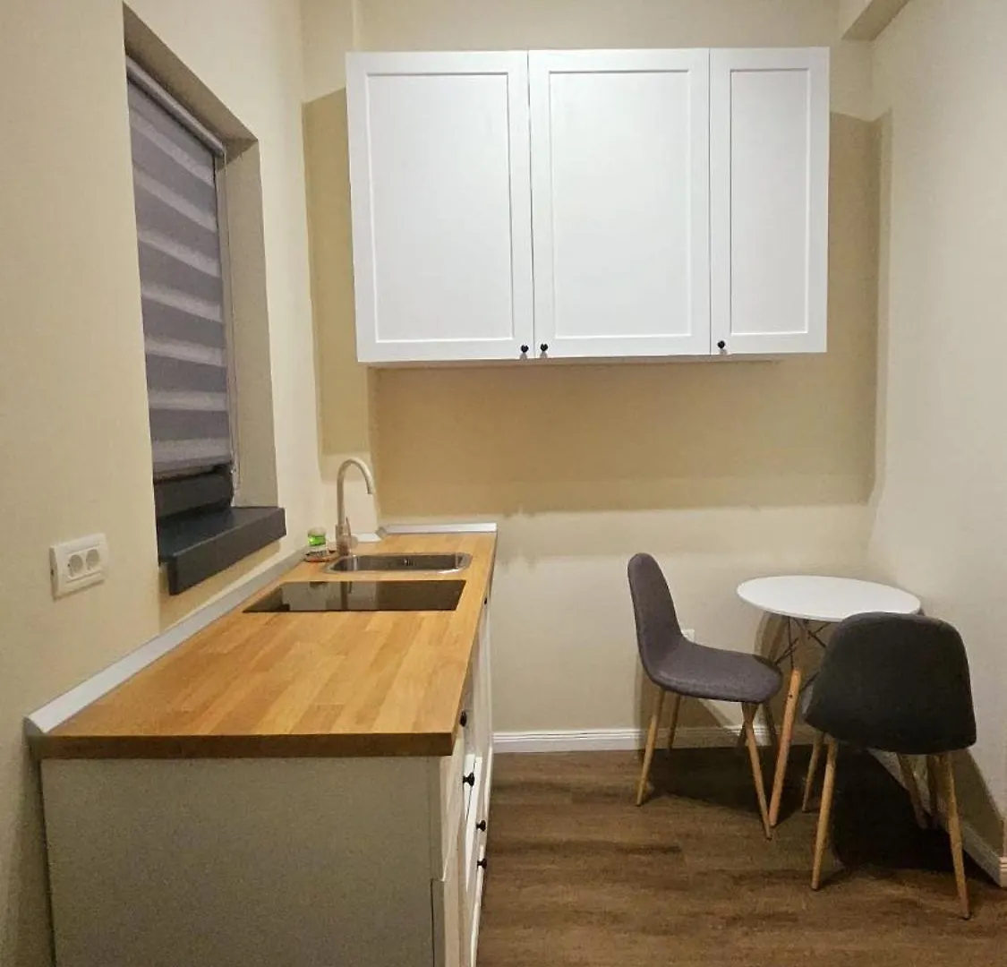 公寓式酒店 Little Bucharest Downtown Apartments Romana 罗马尼亚